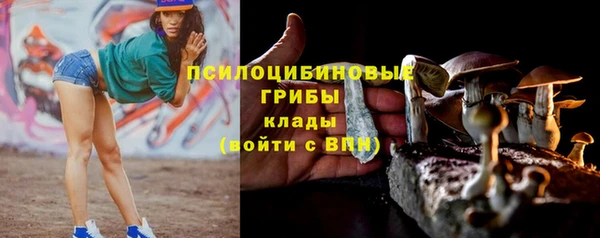 2c-b Алзамай