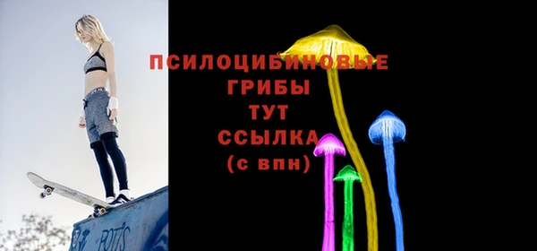 2c-b Алзамай