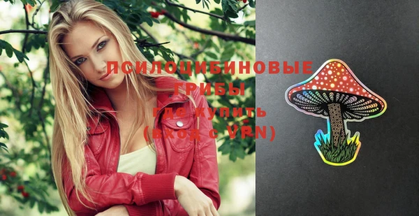 PSILOCYBIN Алексин