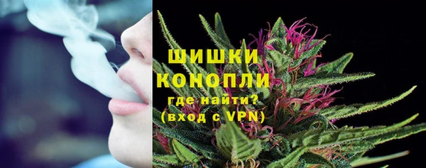 PSILOCYBIN Алексин