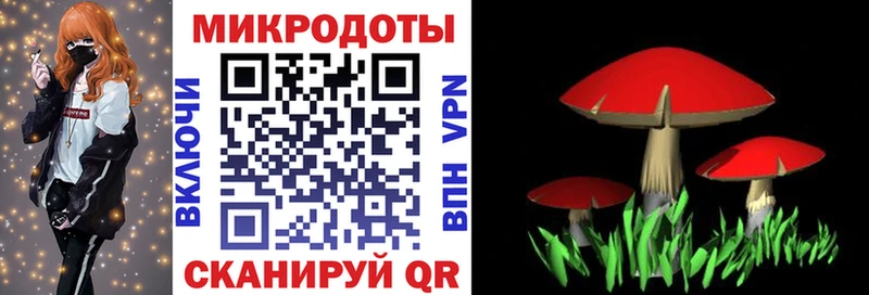 как найти наркотики  Курганинск  Галлюциногенные грибы ЛСД 